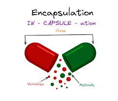 polymorphism